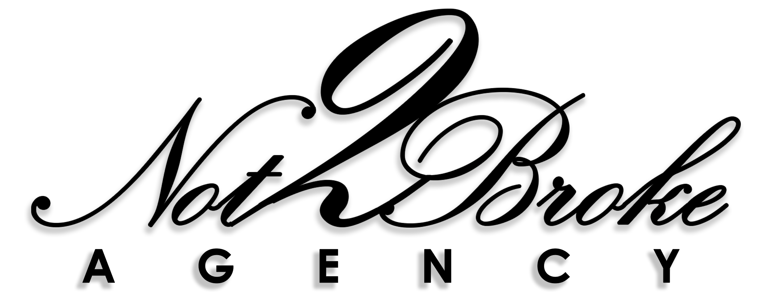 N2B Logo